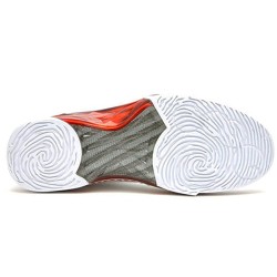 Air Jordan 23 Retro Zebra