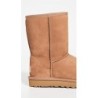 UGG Classic Short II 1016223 | Bottes Premium